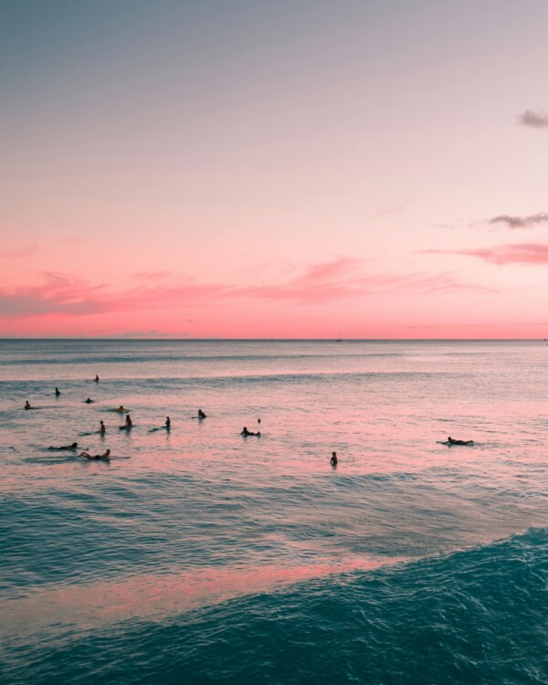 tavola da surf